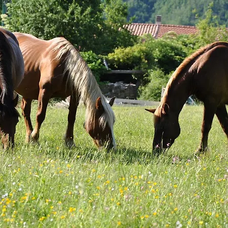 Agriturismo Luna Di Quarazzana In Tuscany *