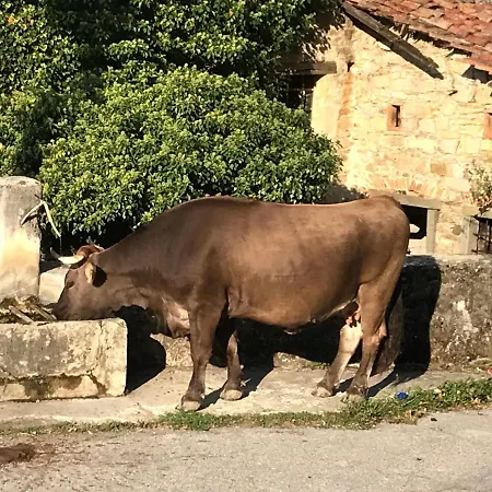 Agriturismo Luna Di Quarazzana In Tuscany Vakantieboerderij Fivizzano