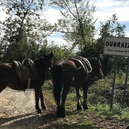 Agriturismo Luna Di Quarazzana In Tuscany Vakantieboerderij *